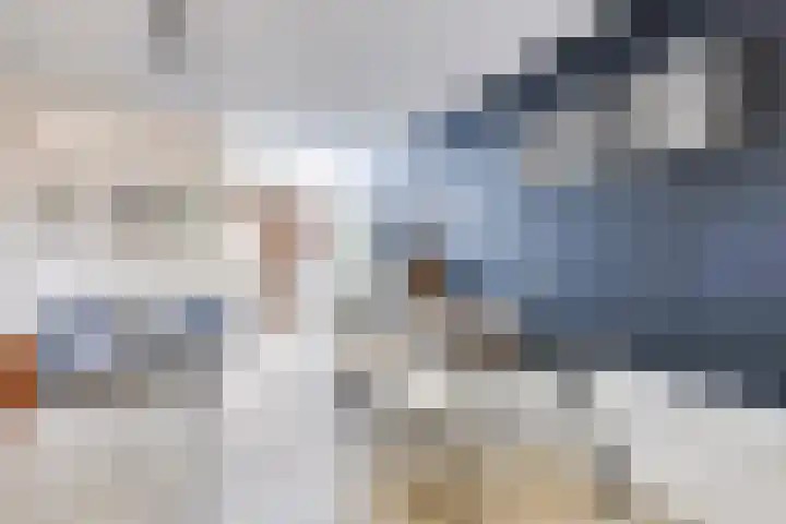 Ringbaan-West 213 Tilburg thumbnail 5
