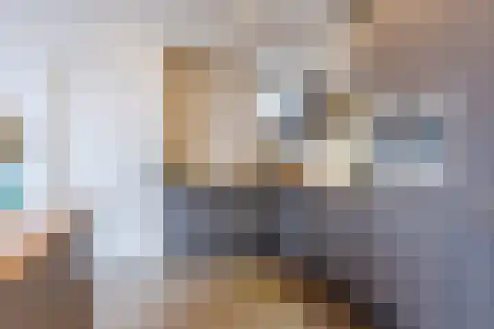 Ringbaan-West 280 Tilburg thumbnail 7