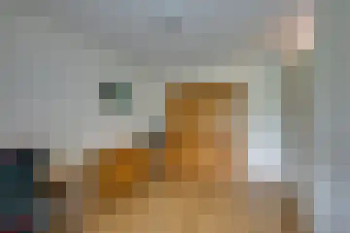 Ringbaan-Zuid 150 Tilburg thumbnail 16