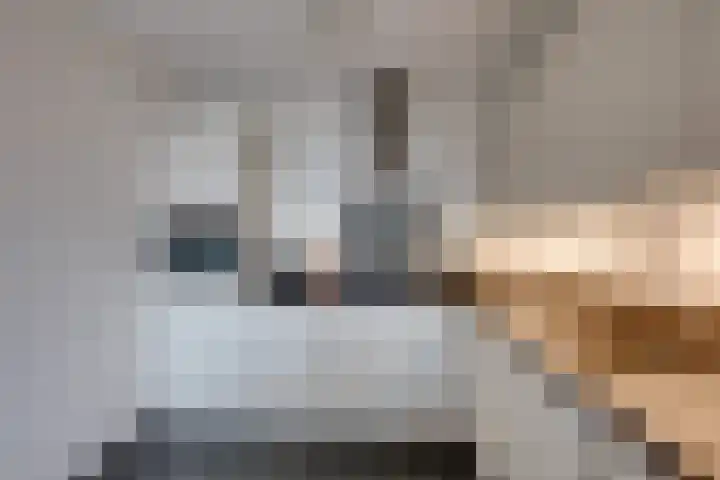Ringbaan-Zuid 150 Tilburg thumbnail 26