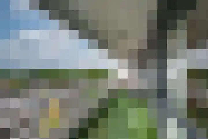Ringbaan-Zuid 150 Tilburg thumbnail 34