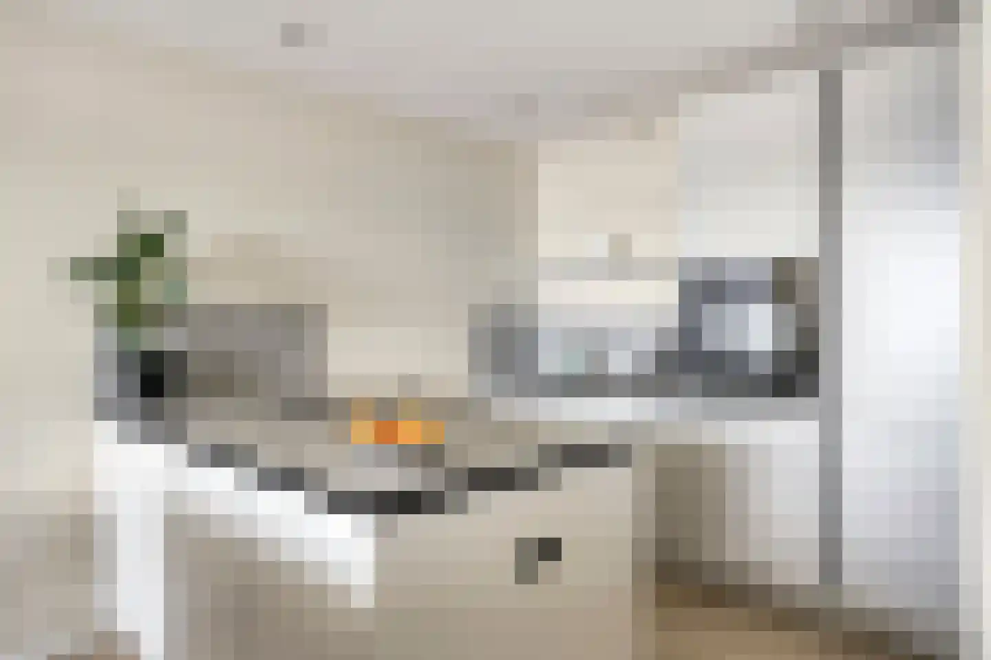 Ringbaan-Zuid 184 Tilburg thumbnail 12