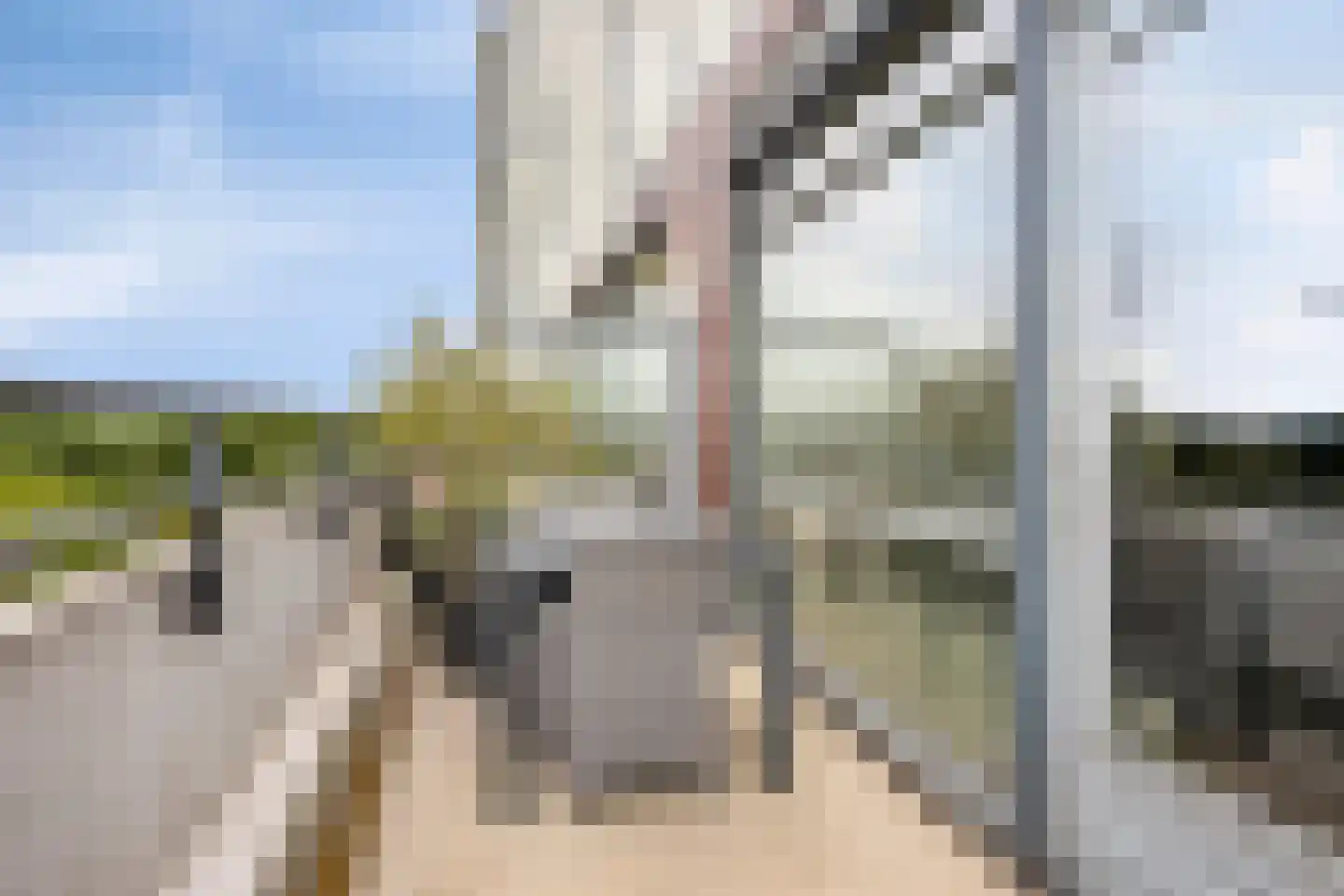 Ringbaan-Zuid 184 Tilburg thumbnail 25