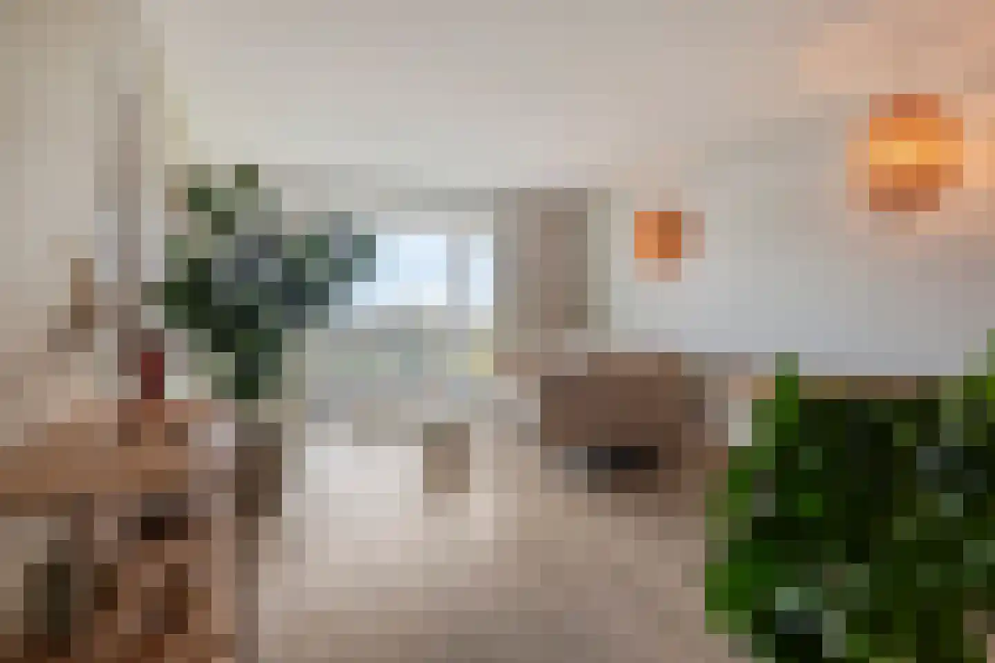 Ringbaan-Zuid 240 Tilburg thumbnail 6