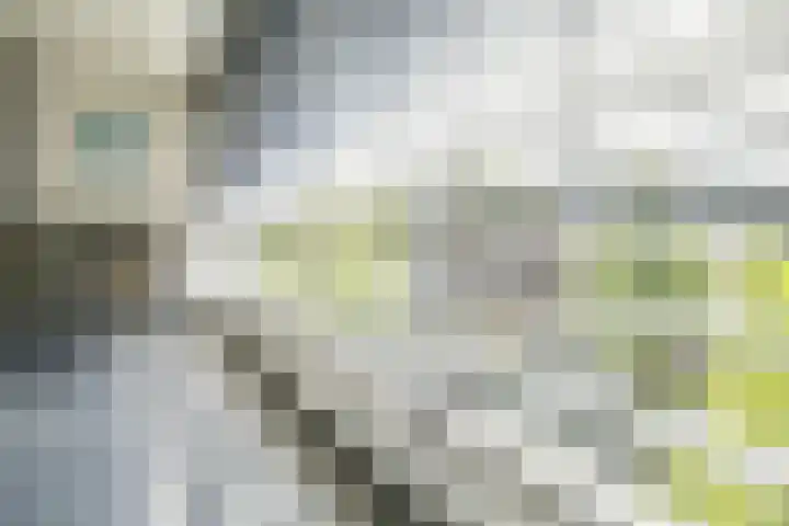 Ringbaan-Zuid 88 Tilburg thumbnail 38
