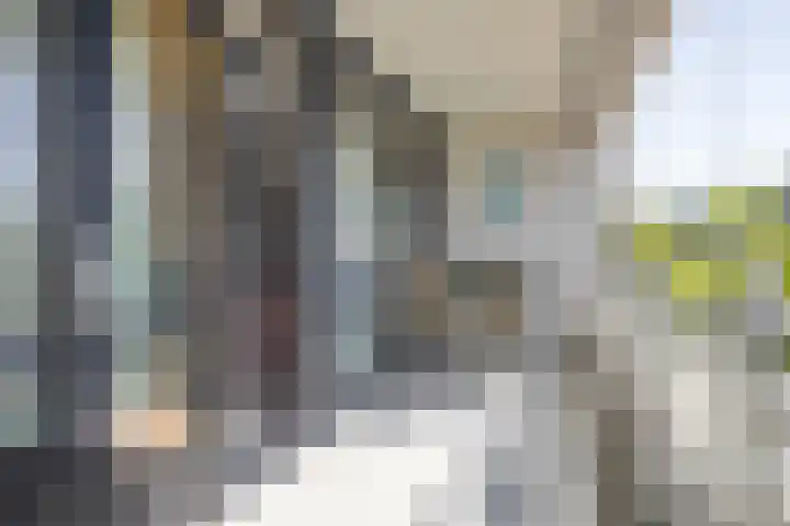 Ringbaan-Zuid 88 Tilburg thumbnail 4