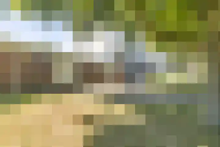 Ringbaan-Zuid 88 Tilburg thumbnail 52