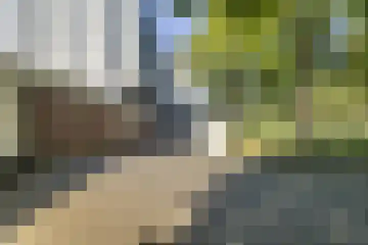 Ringbaan-Zuid 88 Tilburg thumbnail 53