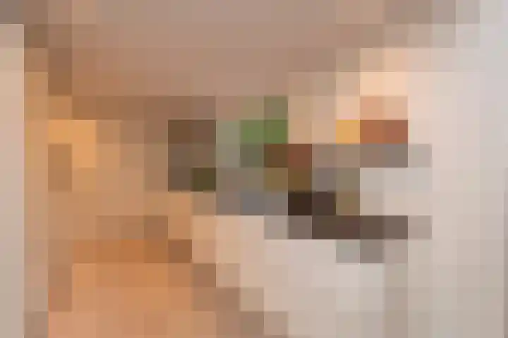 Ringbaan-Zuid 97 Tilburg thumbnail 12