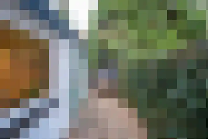 Ringbaan-Zuid 97 Tilburg thumbnail 37
