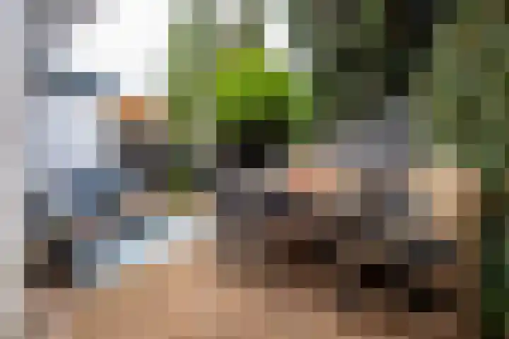 Ringbaan-Zuid 97 Tilburg thumbnail 39