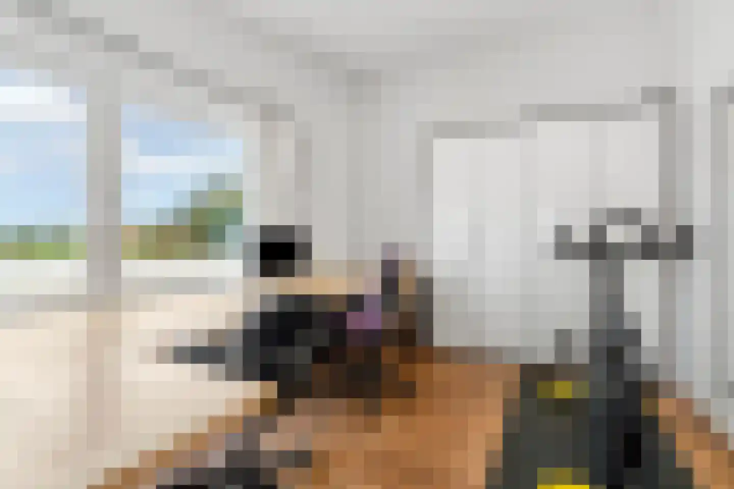 Ringdam 5 Herwen thumbnail 23