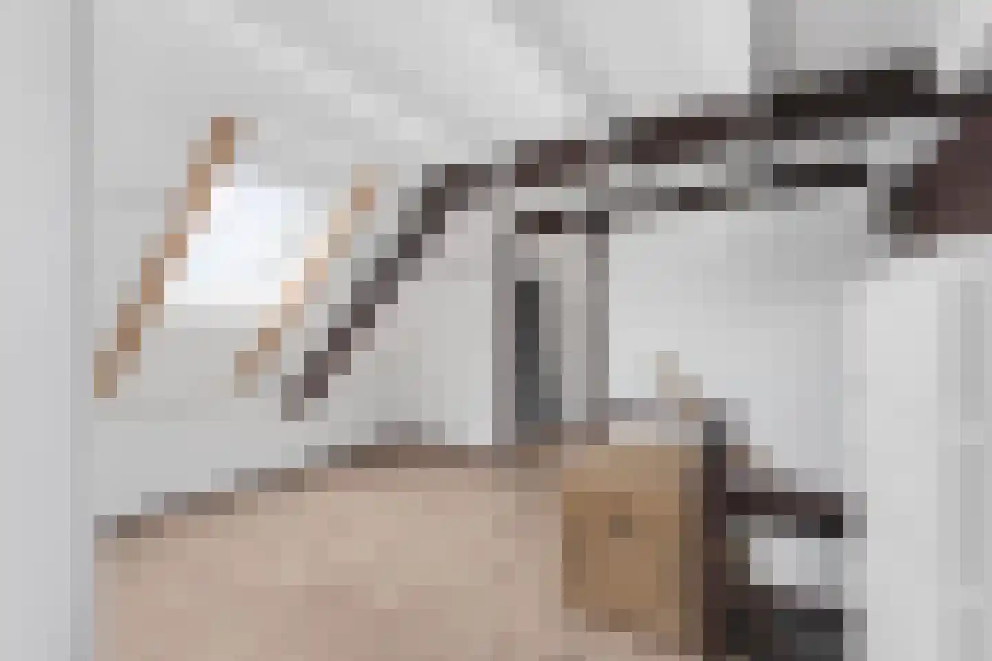 Ringdam 5 Herwen thumbnail 31