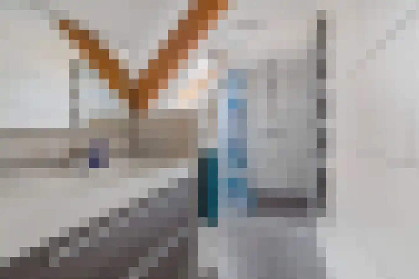 Ringdam 5 Herwen thumbnail 34