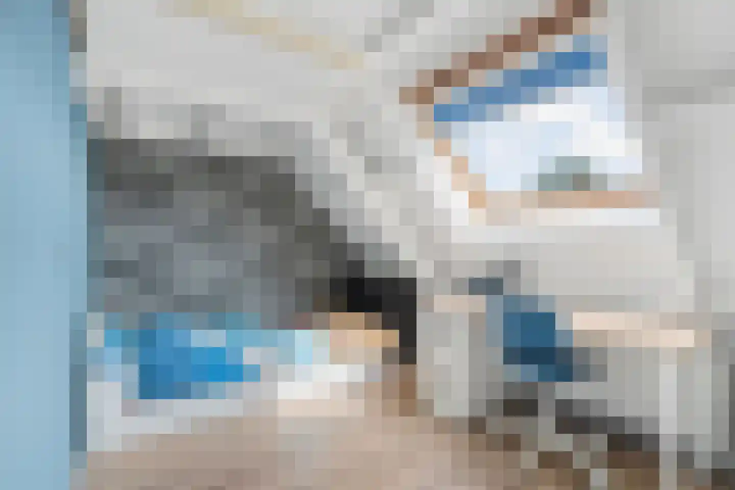 Ringdam 5 Herwen thumbnail 39