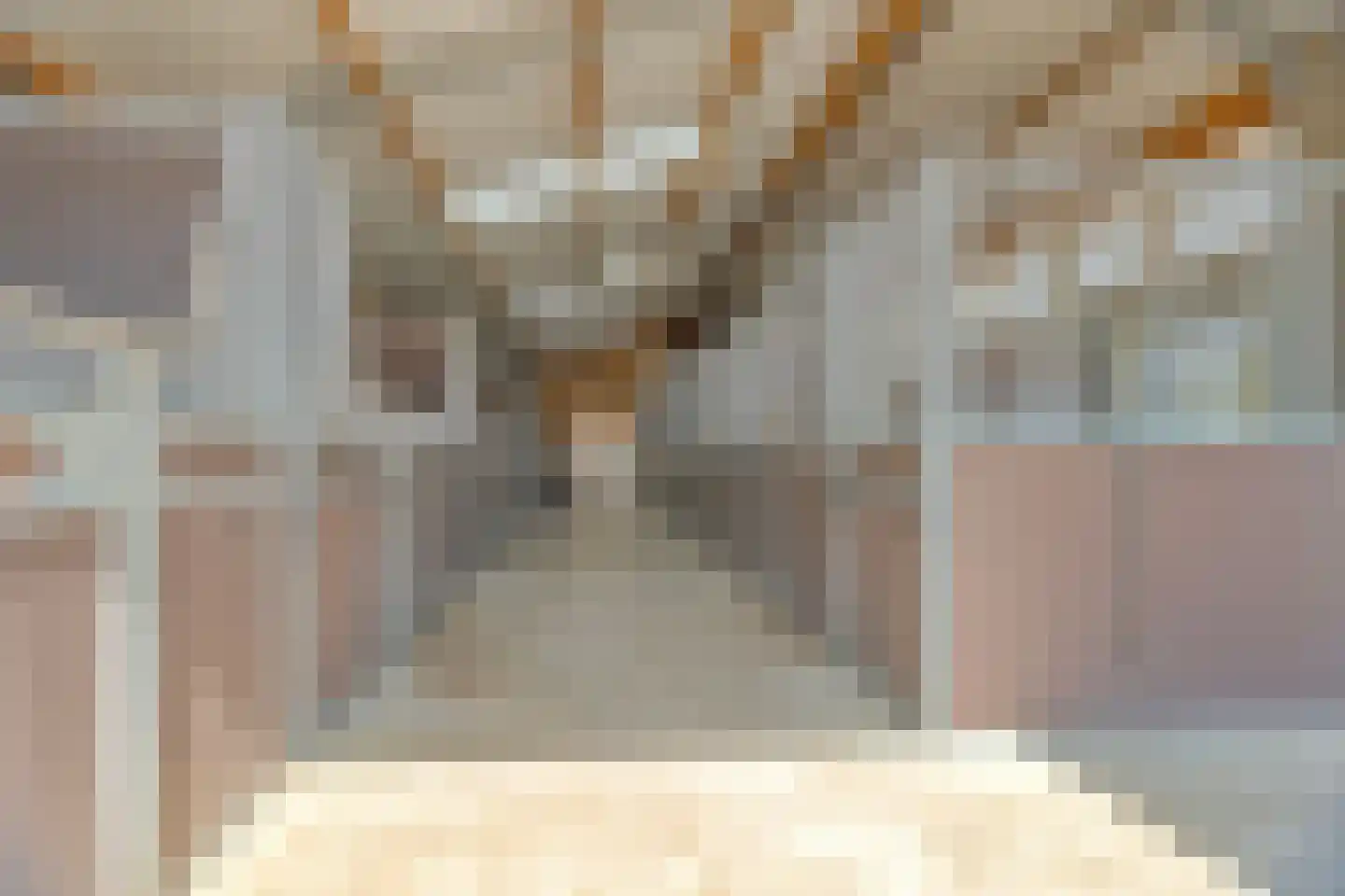 Ringdam 5 Herwen thumbnail 4