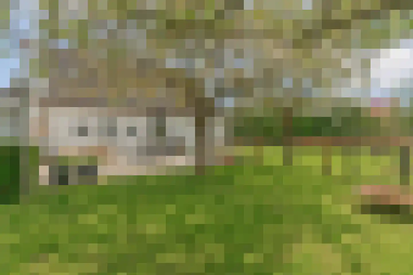 Ringdam 5 Herwen thumbnail 51