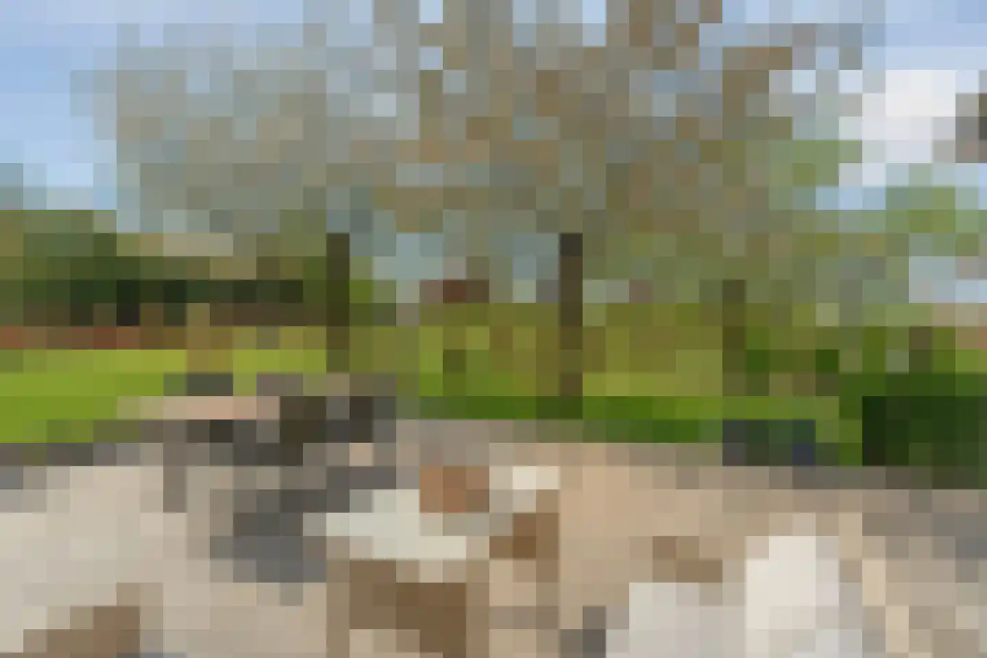 Ringdam 5 Herwen thumbnail 55