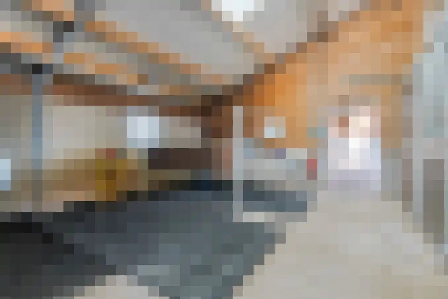 Ringdam 5 Herwen thumbnail 67