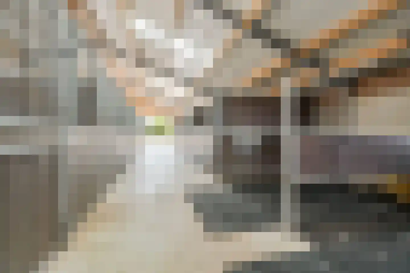 Ringdam 5 Herwen thumbnail 68