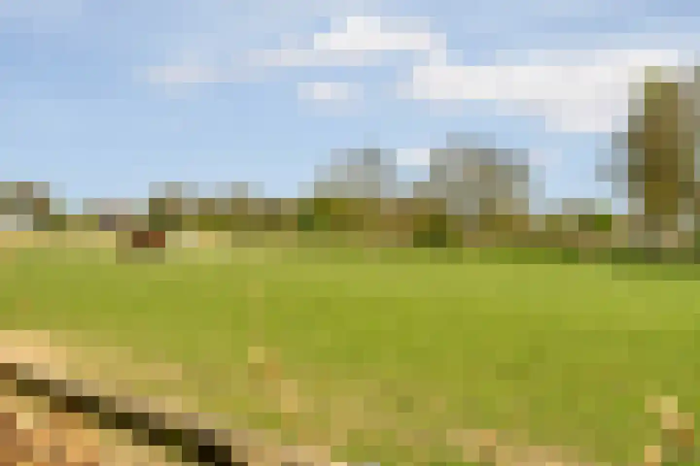 Ringdam 5 Herwen thumbnail 78