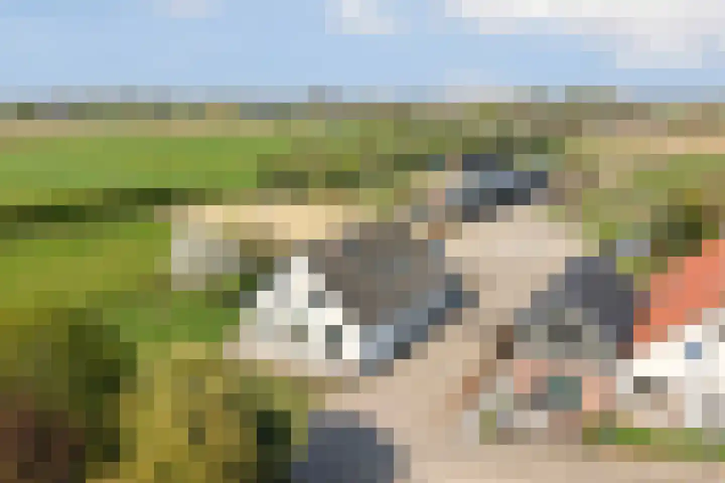 Ringdam 5 Herwen thumbnail 94