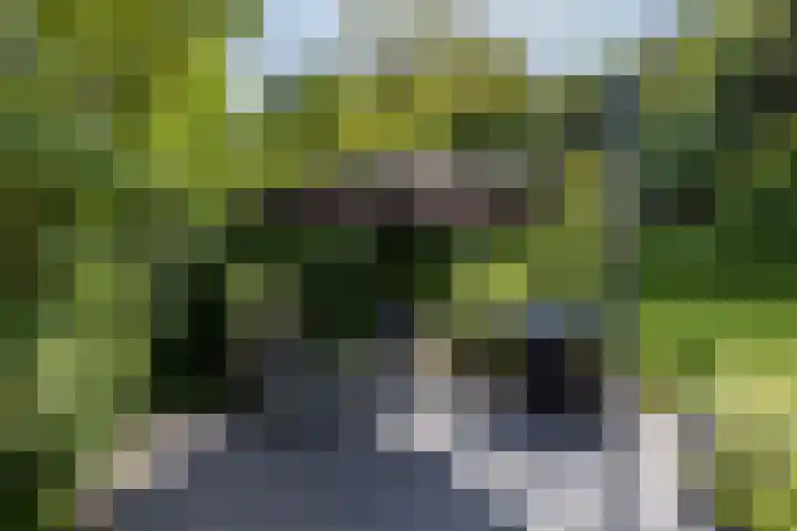 Ringdijk 104 Lelystad thumbnail 5