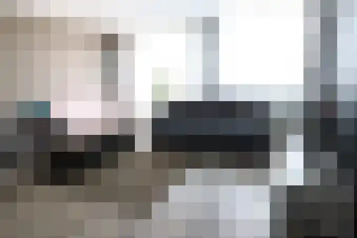 Ringdijk 106 Lelystad thumbnail 20