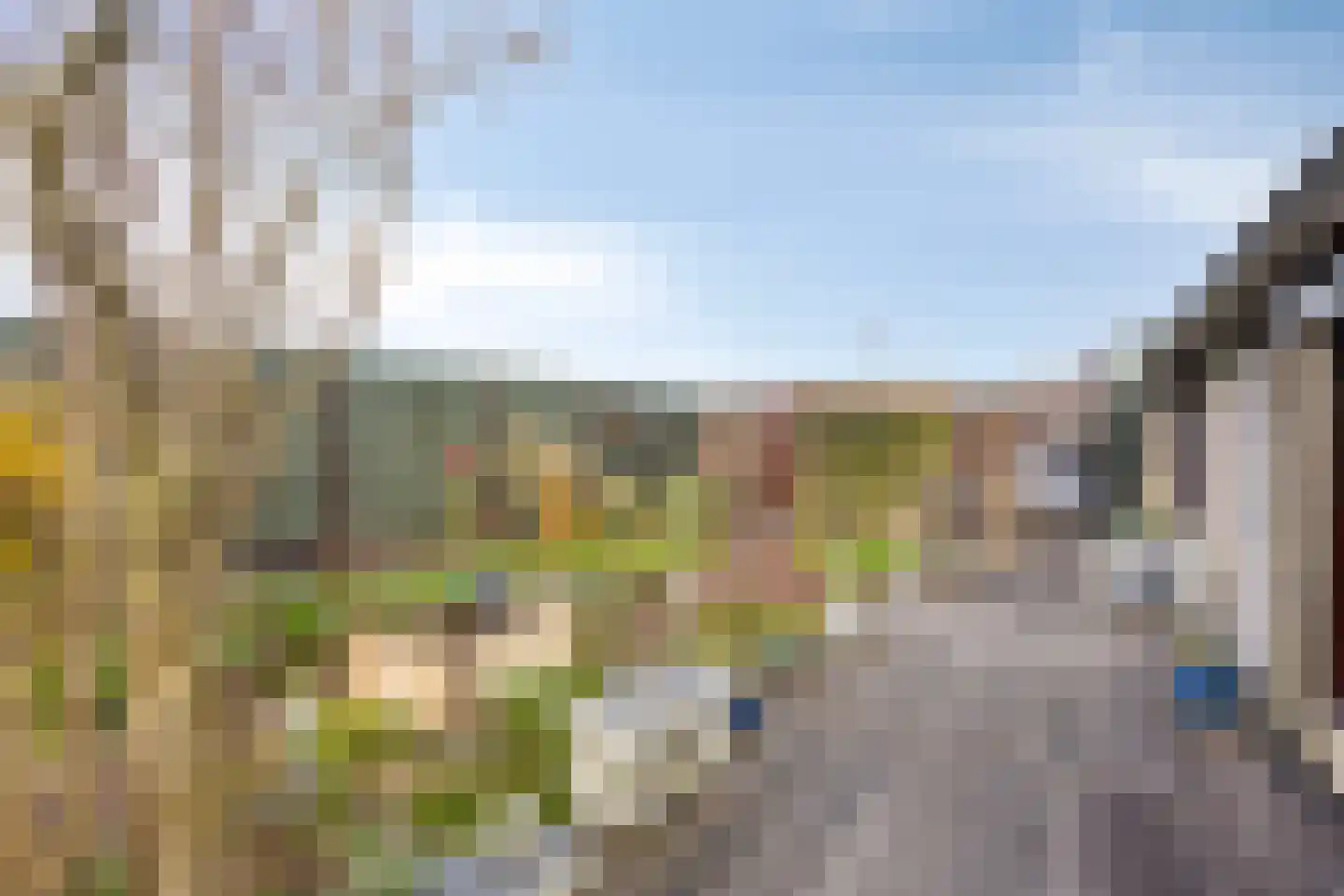 Ringdijk 11 AR Wijdewormer thumbnail 41