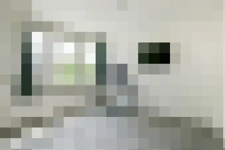 Ringdijk 11 De Kwakel thumbnail 18