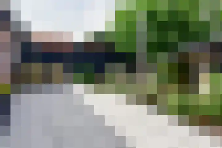 Ringdijk 11 De Kwakel thumbnail 22