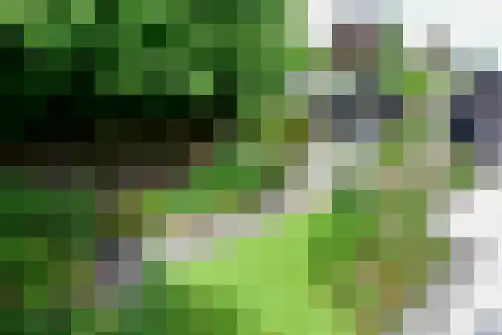 Ringdijk 11 De Kwakel thumbnail 23