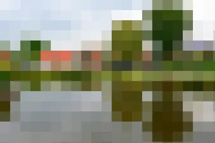 Ringdijk 11 De Kwakel thumbnail 31