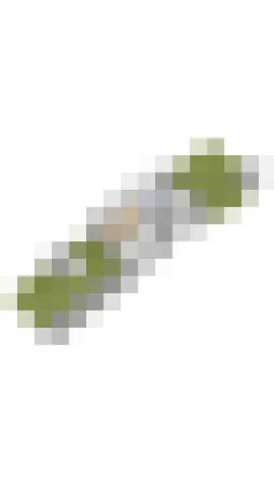 Ringdijk 11 De Kwakel thumbnail 33
