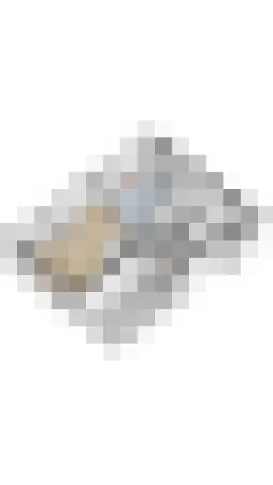 Ringdijk 11 De Kwakel thumbnail 35