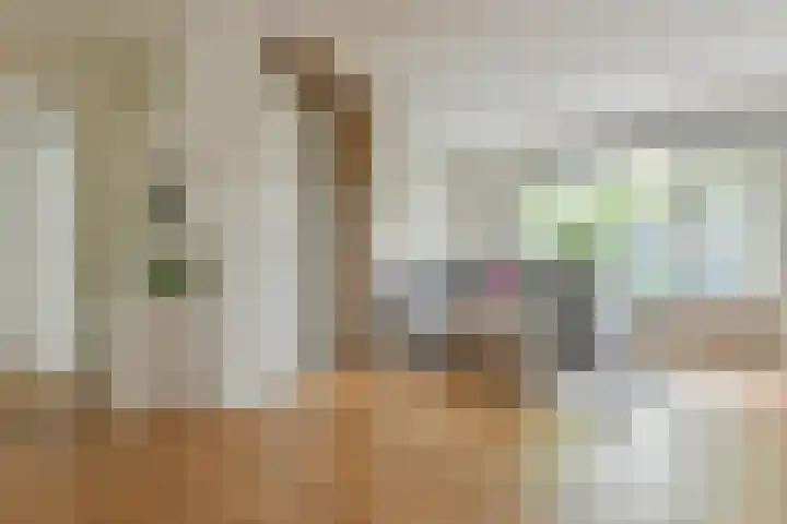 Ringdijk 11 De Kwakel thumbnail 5