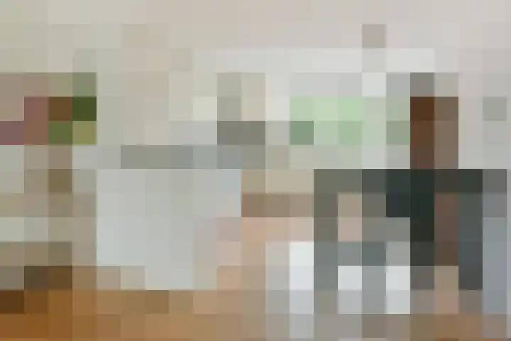 Ringdijk 11 De Kwakel thumbnail 8