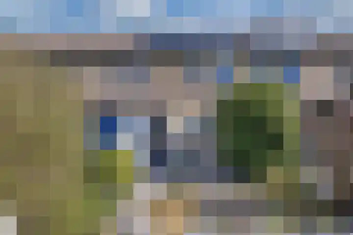 Ringdijk 127 Lelystad foto 2