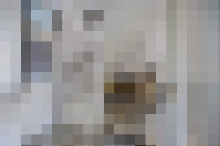 Ringdijk 127 Lelystad thumbnail 24