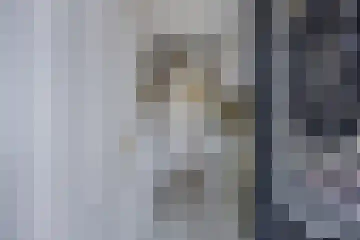 Ringdijk 127 Lelystad foto 3