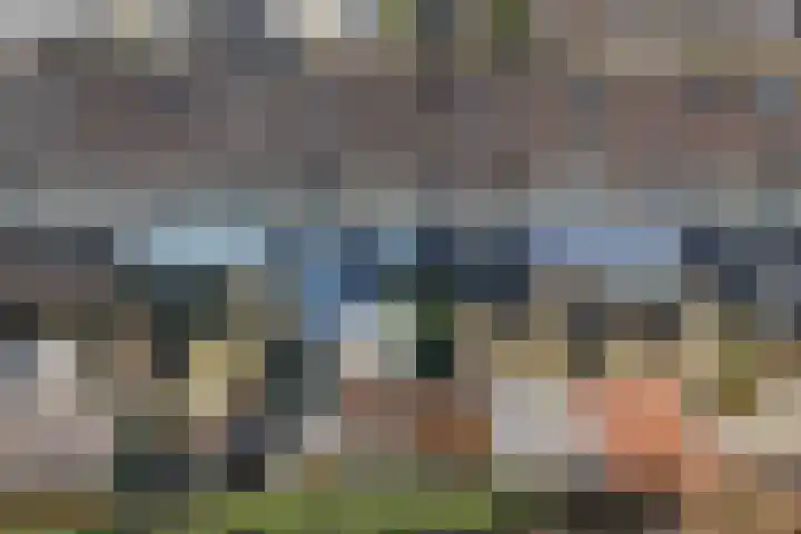 Ringdijk 127 Lelystad thumbnail 35