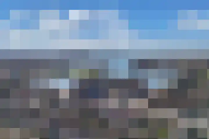 Ringdijk 127 Lelystad thumbnail 36