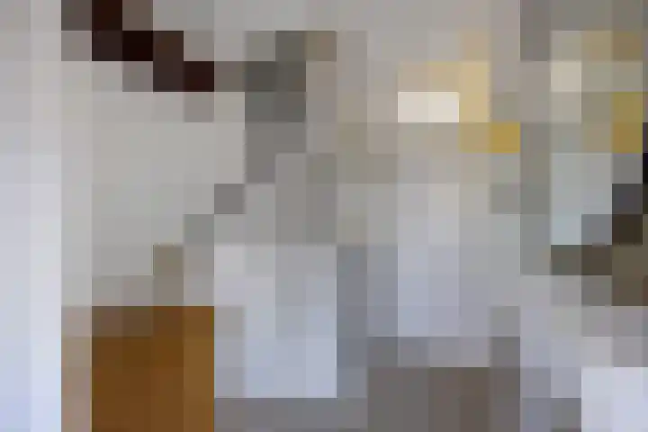 Ringdijk 127 Lelystad thumbnail 4