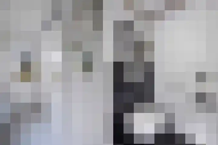 Ringdijk 127 Lelystad thumbnail 6