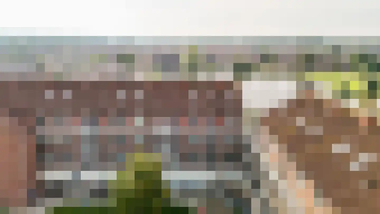 Ringdijk 146 Lelystad thumbnail 43