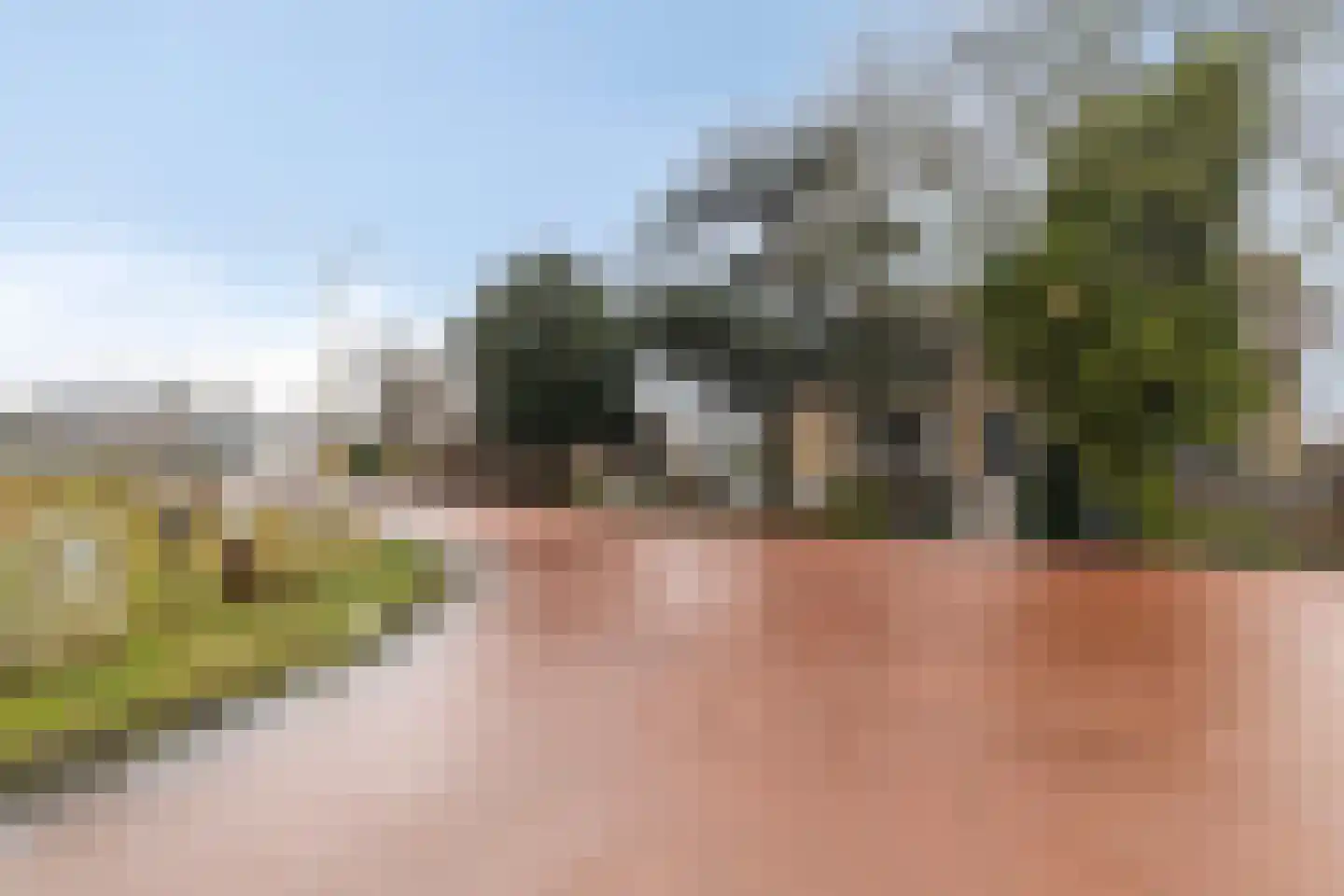 Ringdijk 15 De Kwakel thumbnail 11