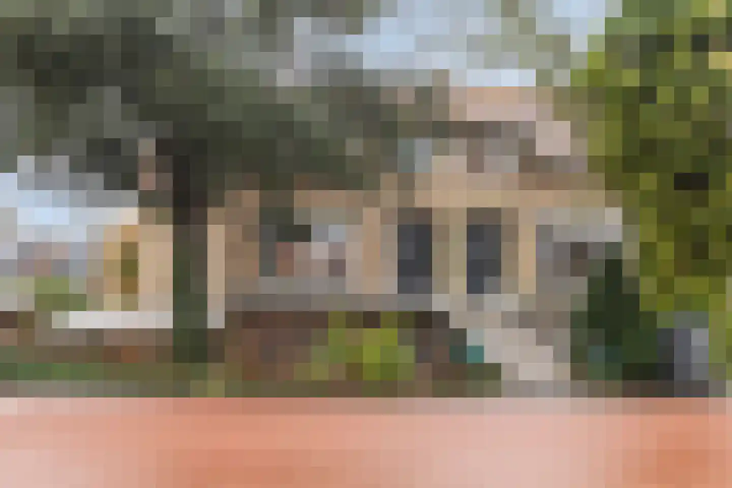 Ringdijk 15 De Kwakel thumbnail 12
