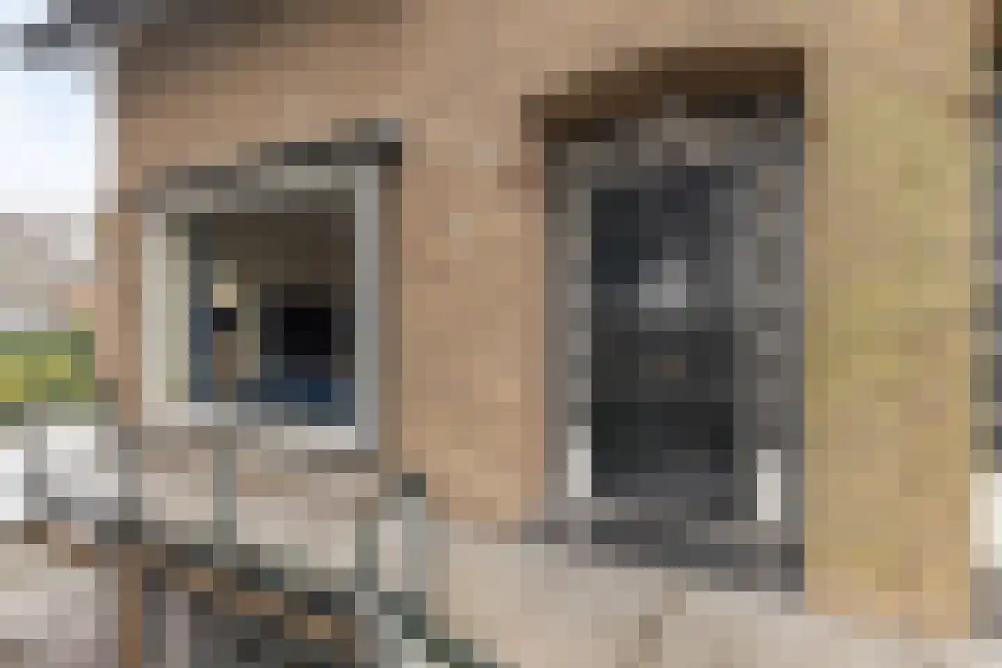 Ringdijk 15 De Kwakel thumbnail 13