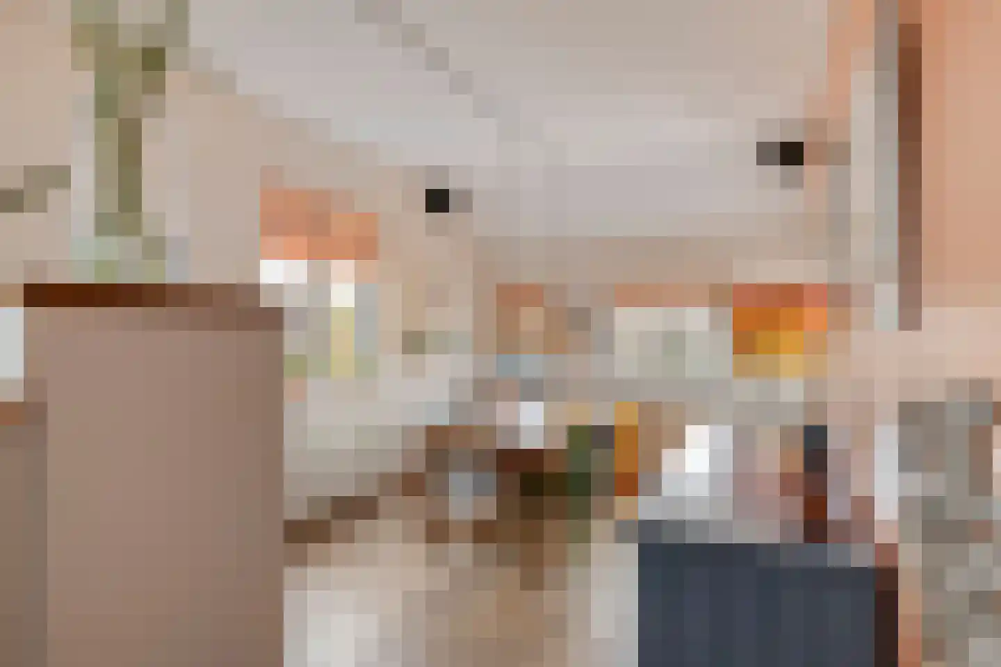 Ringdijk 15 De Kwakel thumbnail 22