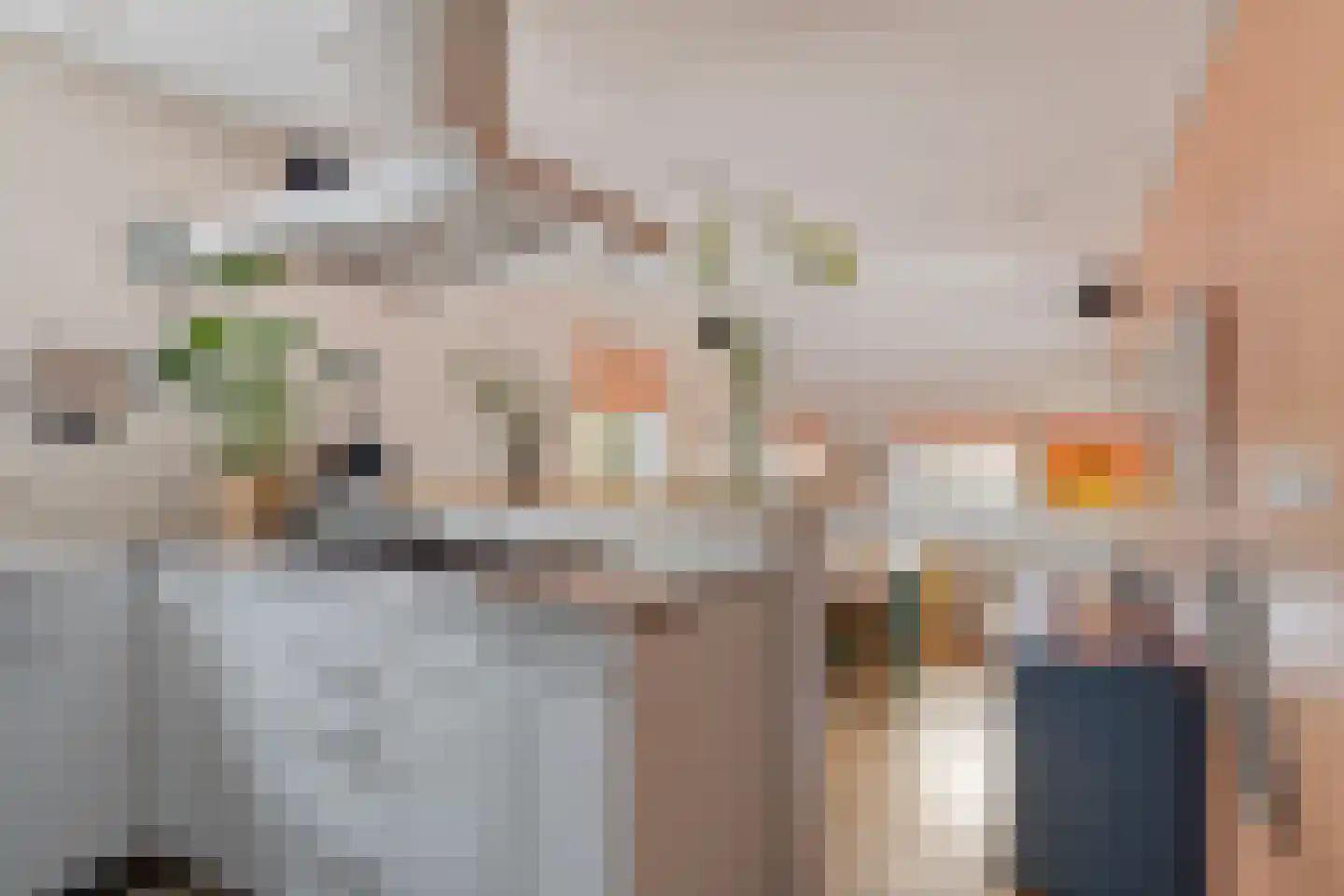 Ringdijk 15 De Kwakel thumbnail 28